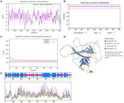 Detection distribution of CNVs of SNX29 in three goat breeds and their associations with growth traits
